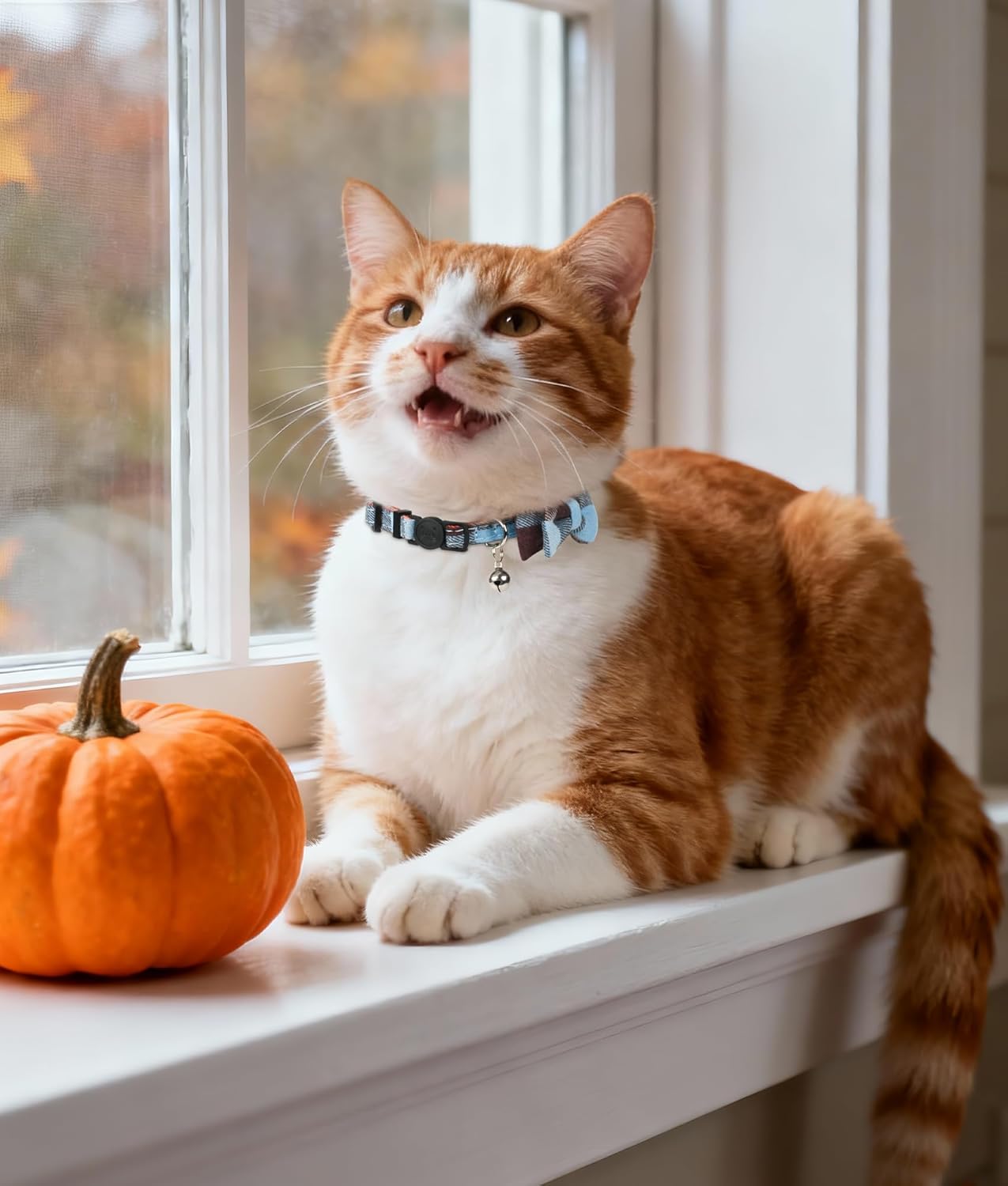 Chic Haze Blue Cat Collar with Breakaway Safety Feature and Stylish Bow Tie – Perfect for All Life Stages!