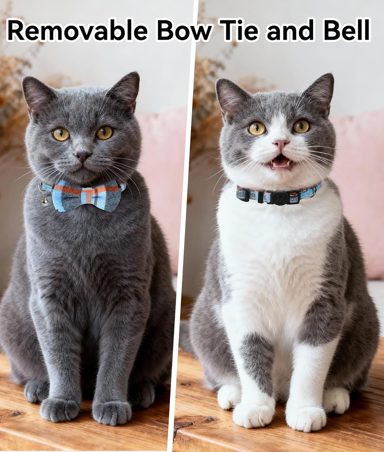 Chic Haze Blue Cat Collar with Breakaway Safety Feature and Stylish Bow Tie – Perfect for All Life Stages!