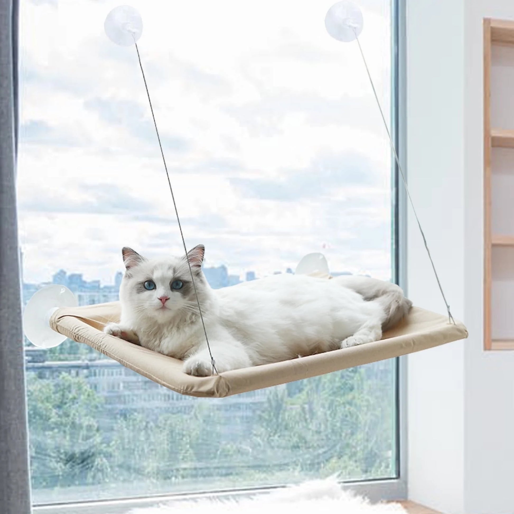 Elevate Your Cat's Comfort with the Khaki Cat Window Perch - Perfect for Sunbathing and Play!