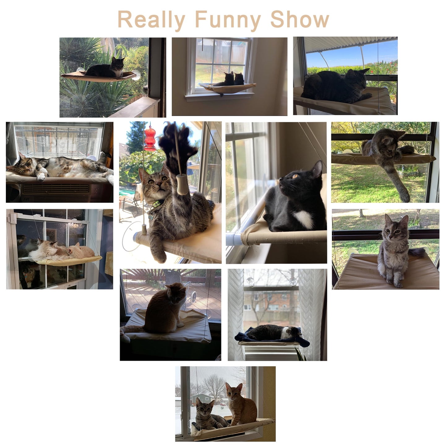 Elevate Your Cat's Comfort with the Khaki Cat Window Perch - Perfect for Sunbathing and Play!